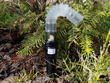 Wabik na jelenie Deer Call DEC03 - ględzenie rujnej łani