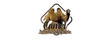 Skarpety wełniane COMODO STWC – merino, camel