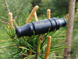 Wabik na rogacze KOSMATY - Roe Deer Call