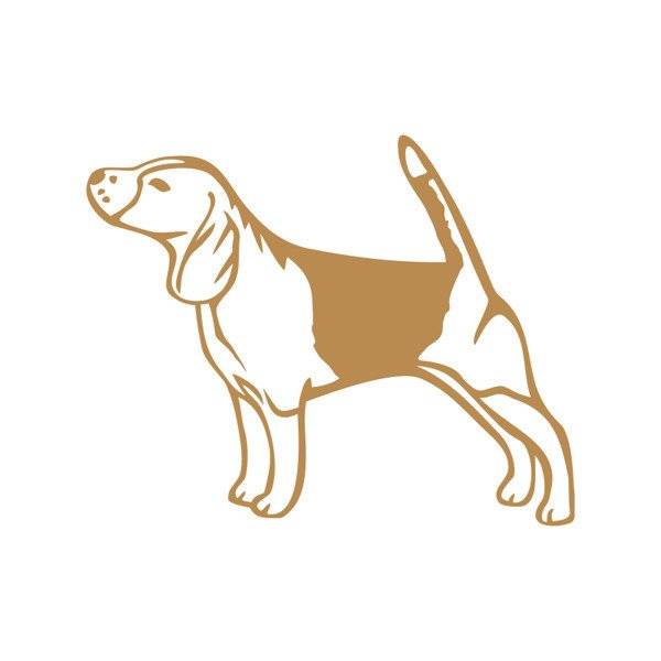 Beagle koszulka longsleeve brązowa