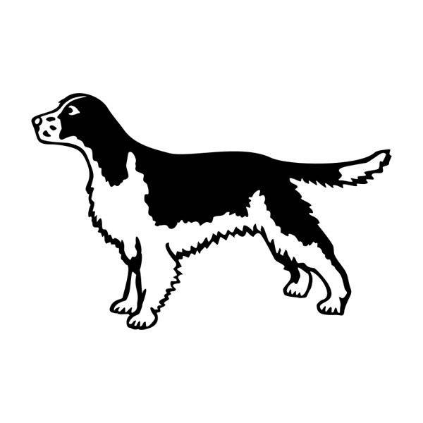 Springer Spaniel koszulka zieleń wojskowa